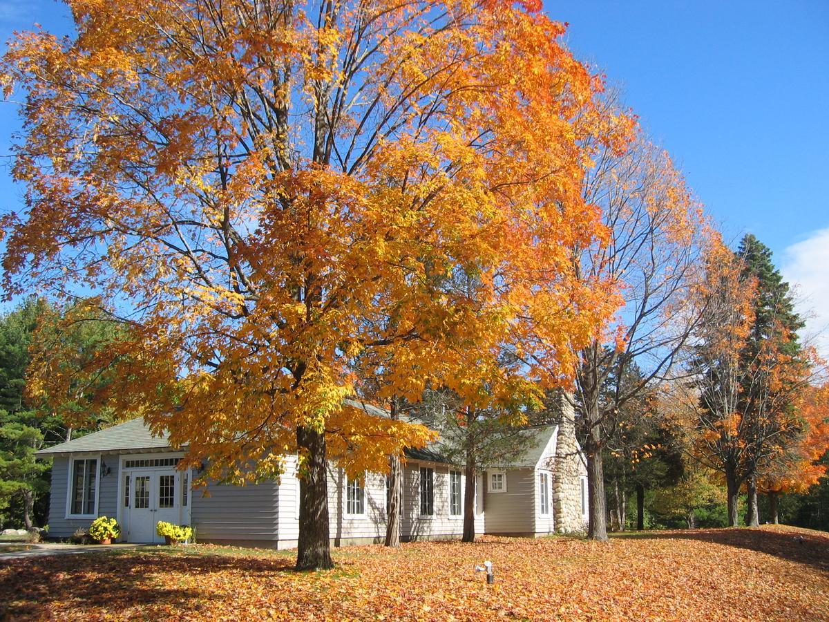 Tuxbury Pond Camping Resort Tiny House Henry South Hampton Exterior photo