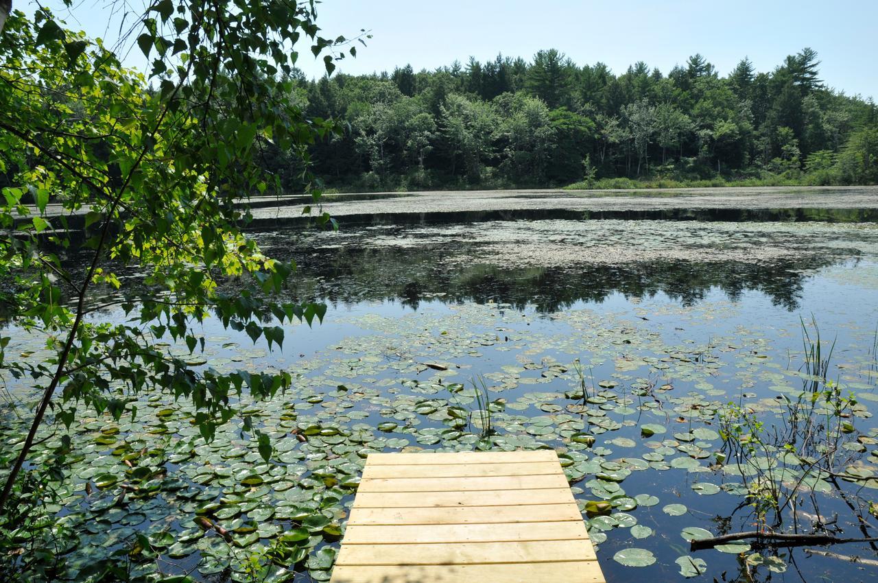 Tuxbury Pond Camping Resort Tiny House Henry South Hampton Exterior photo